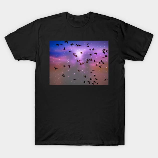 Birds Flying In Space T-shirt T-Shirt by KathyG'sArt